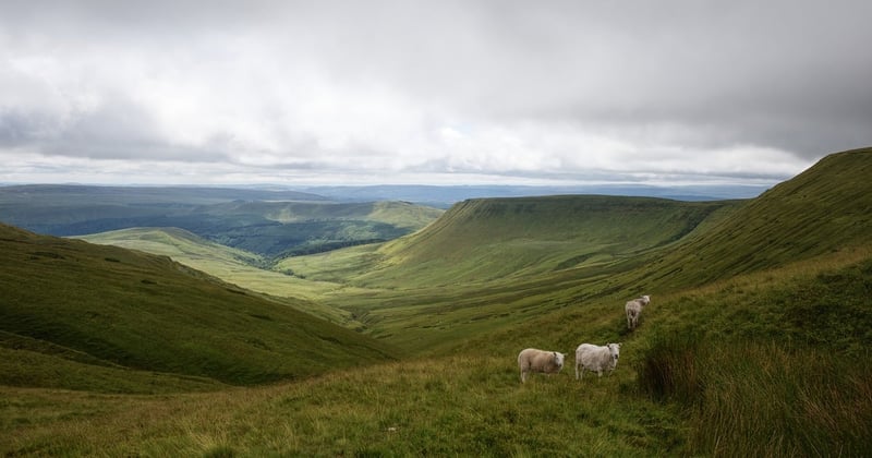 10 idées sorties nature en Lozère à vivre en famille