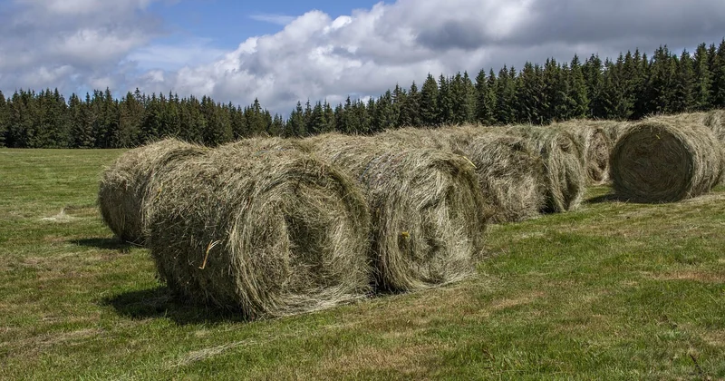 Quelles sont les activités insolites à faire en Lozère ?