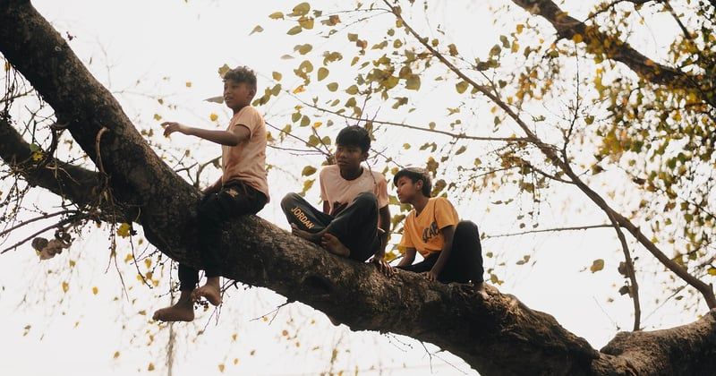 Vivre l’aventure ultime : séjourner dans une cabane dans les arbres en Amazonie