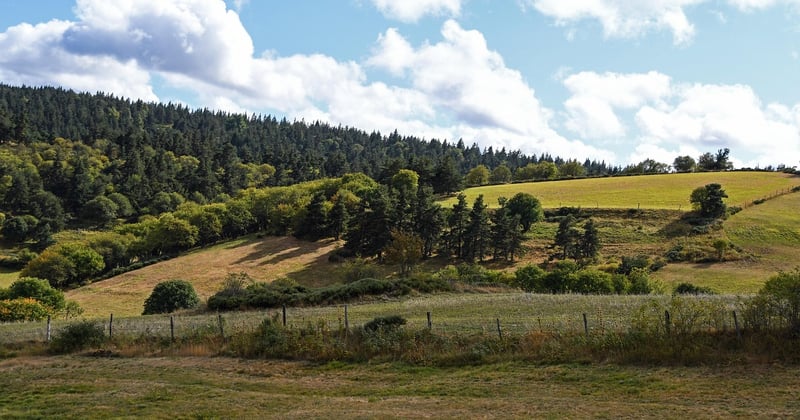 Où dormir en Lozère : les meilleures adresses hébergement