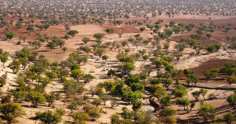 Dormir dans un riad à Marrakech : l'expérience authentique qui change tout