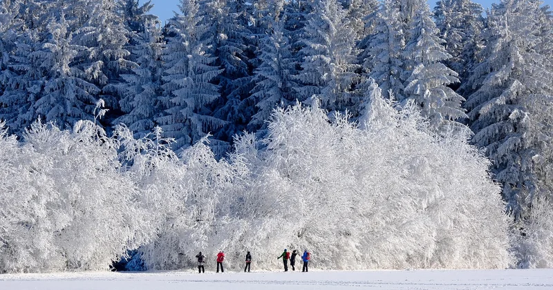 Que faire à Mende et Marvejols en hiver avec des enfants